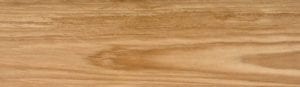 Blackbutt