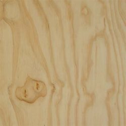 Australian-Timbers-Plywood-BC-Hoop-Pine Australian-Timbers-Plywood-BC-Hoop-Pine