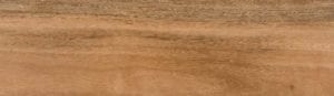 Spotted Gum