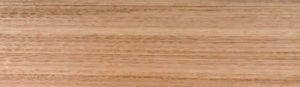 Tasmanian Oak