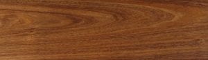 Tasmanian Blackwood