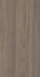 Dusky Elm
