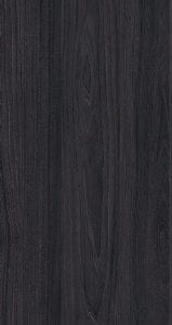 Fiordland Elm