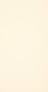 New Antique White