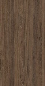 Tasman Elm